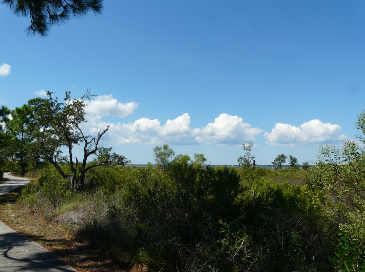 Clouds over the marsh at Bald Point State Park