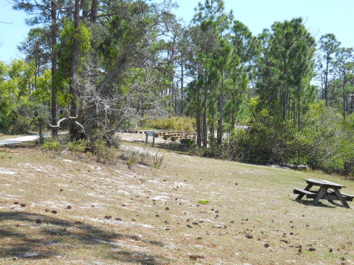 Grassy picnic area and trees at Jonathan Dickinson State Park