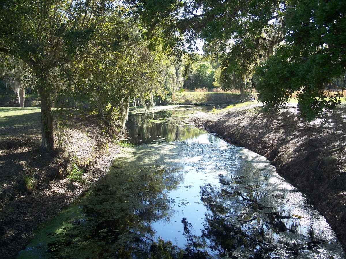 Natural landscape at Lake Kissimmee State Park