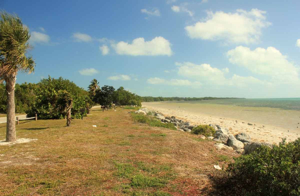 Landscape and ocean at Long Key State Park