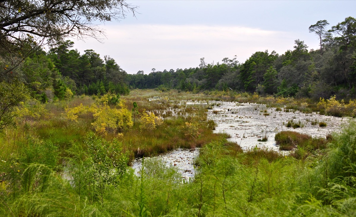 Archival view of Puddin’ Head Lake at Rocky Bayou State Park