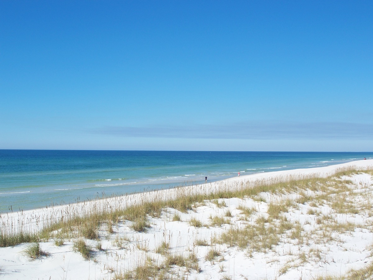 Beach looking north at St. Joseph Peninsula State Park