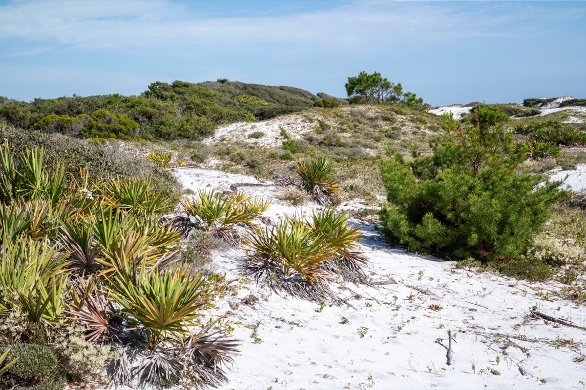 Topsail Hill Preserve State Park