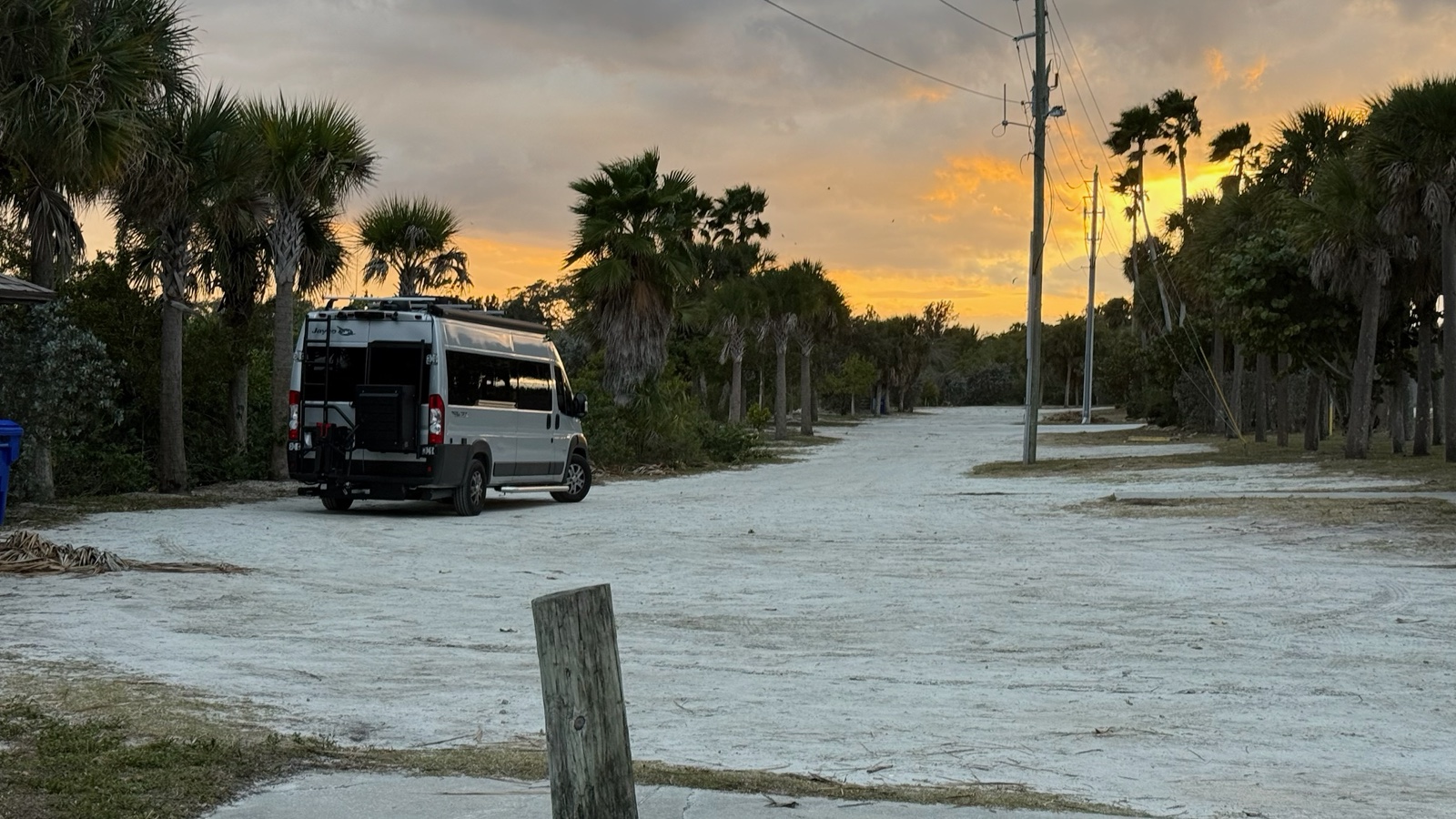 Camper van beneath palm trees and an evening sky