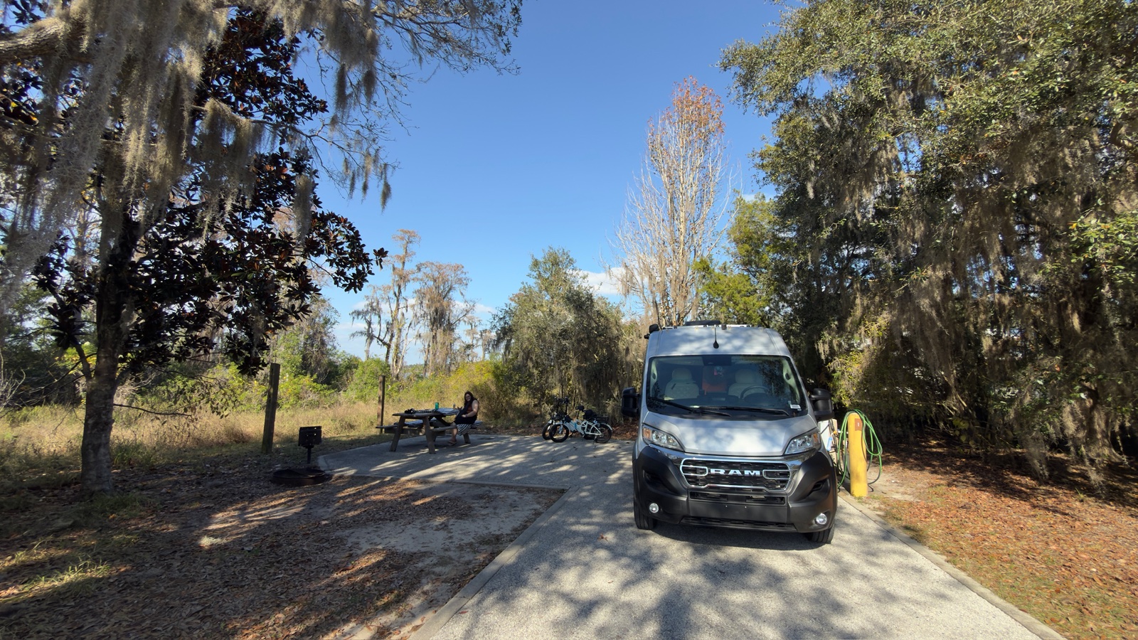 Silver camper van parked in a wooded campsite